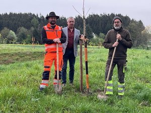 csm_Pflanzung_Streuobst_Obersuessbach_bd495a27f6